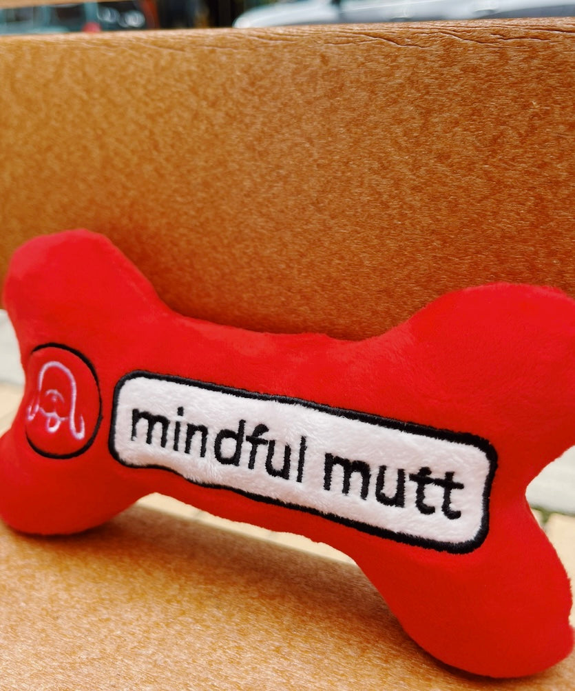 Chewlulemon Bone Dog Toy